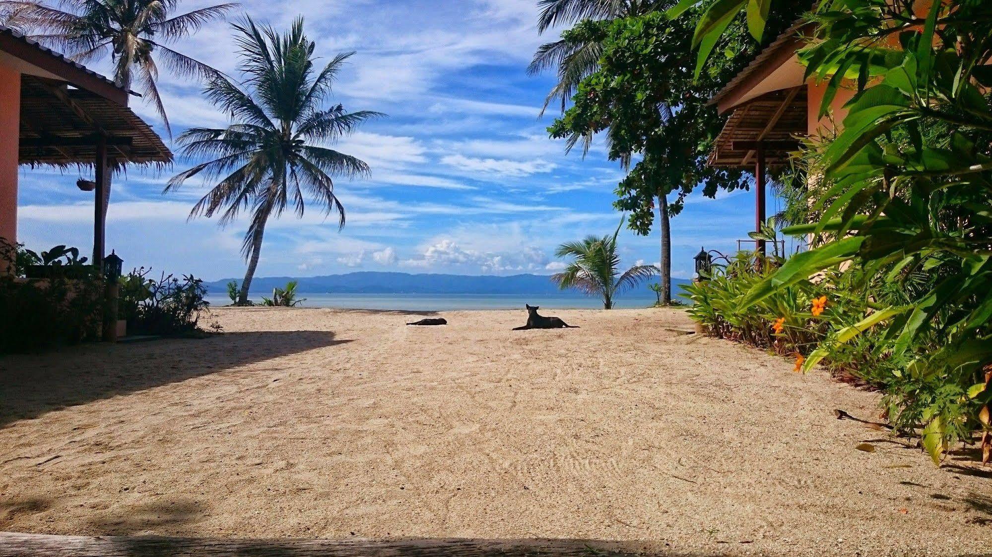 Papillon Bungalows Baan Tai Bagian luar foto